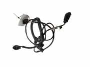 Kabelbaum Citroen C5 III (RD) 20103124