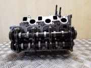 Motorkopf AUDI Q7 (4L) 3.0 TDI quattro 0593AP 059353EK