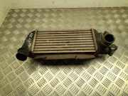 Ladeluftkühler Ford Ka (RBT) 878350000