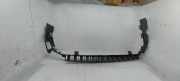 Stoßstangenhalter vorne links PEUGEOT 407 Coupe (6C_) 2.0 HDi 9644646280