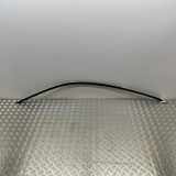 Dachleiste links BMW 4 Gran Coupe (F36) 435 i 7332537