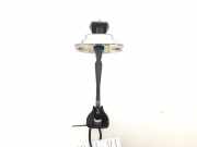 Türfeststeller Nissan Qashqai II (J11)