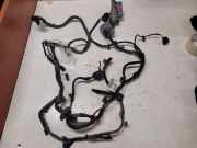 Kabel Tür Opel Insignia A (G09) 13264907