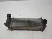 Ladeluftkühler Renault Kangoo I (KC) 144963234R