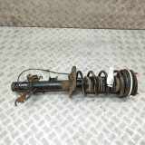 Stoßdämpfer links hinten Land Rover Range Rover Evoque I (L538) BJ3218K004CH