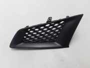 Kühlergrill oben Renault Koleos I (HY) 62075JY00A