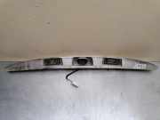 Kennzeichenbeleuchtung KIA CARENS III (UN) 2.0 CRDi 135 735335751