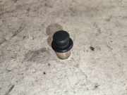 Zigarettenanzünder RENAULT VEL SATIS (BJ0_) 2.0 16V Turbo (BJ0K)