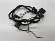 Kabelbaum Audi A6 Avant (4F, C6) 4F1971284K