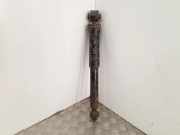 Stoßdämpfer hinten links RENAULT VEL SATIS (BJ0_) 3.5 V6 (BJ0R, BJ0V, BJ0U) 820062037797 8200620377