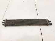 Kühler Renault Master III Kasten (FV) 214B10001R