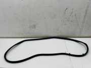 Dichtungsgummi der hinteren Tür (an der Karosserie) NISSAN X-TRAIL IV (T33) 1.5 VC-T Mild Hybrid