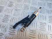 Einspritzdüse BMW 2 Coupe (F22, F87) 218 i 0261500539