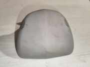 Innenspiegelverkleidung RENAULT LAGUNA II (BG0/1_) 2.2 dCi (BG0F) 8200056426