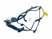 Türverkabelung hinten links KIA PRO CEE'D (ED) 1.4 CVVT 91660H8050