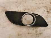 Gitter vorne unten MERCEDES-BENZ B (W245) B 180 CDI (245.207) 211000028