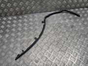 Dichtungsgummi der hinteren Tür (an der Karosserie) BMW X6 (F16, F86) M 50 d 7324750