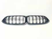 Gitter BMW 8 Cabrio (G14, F91) M8 5B3AE23