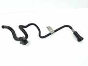 Einspritzleiste BMW X3 (F25) 7823397