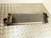 Ladeluftkühler RENAULT MEGANE II Estate (KM0/1_) 1.9 dCi 8200700172