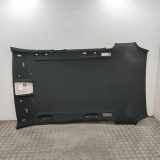 Dachverkleidung BMW X3 (F25) xDrive 20 d 7174205