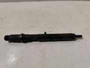 Einspritzdüse AUDI A4 Avant (8ED, B7) 2.7 TDi 059130201g