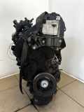 Motor ohne Anbauteile (Diesel) Ford Focus III (DYB) T3DB