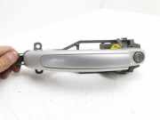 Türgriff links hinten Porsche Cayenne 1 (9PA)