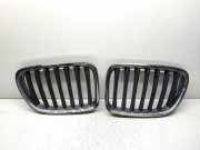 Vorderer oberer Gitter BMW X1 (E84) sDrive 18 d 2993304