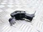 Heckklappengriff Peugeot 307 SW ()