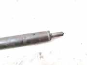 Einspritzdüse PEUGEOT 307 CC (3B) 2.0 HDi 135 9656389980