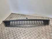 Gitter vorne unten MERCEDES-BENZ B (W245) B 170 NGT (245.233) 210000033