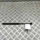 Gasfeder für Motorhaube Tesla Model X (5YJX) 103387900B