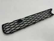 Gitter vorne unten MERCEDES-BENZ R (W251, V251) R 320 CDI 4-matic (251.022, 251.122)