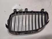 Vorderer oberer Gitter BMW 5 Touring (E61) 520 d 51137027062A