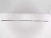 Vertikale Verkleidung an der hinteren linken Tür BMW 5 Touring (E61) 530 d