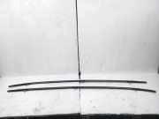 Dachreling links BMW X3 (F25)