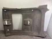 Dachverkleidung BMW X6 (F16, F86) xDrive 30 d 206483PA
