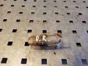 Innenleuchte Renault Grand Scenic III (JZ)