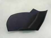 Armaturenbrett Seitenverkleidung MERCEDES-BENZ B (W245) B 180 CDI (245.207) A1696800178