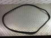 Türgummi links vorne BMW X3 (F25)