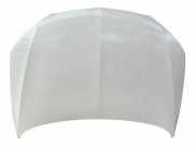 Motorhaube SEAT TOLEDO IV (KG3) 1.6 TDI 6JA823155
