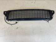 Gitter vorne unten DACIA DUSTER 1.5 dCi 622540008R