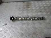 Zahnrad für Nockenwelle Audi Q5 (8R) 02L111