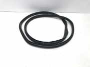 Türdichtung Renault Megane I (BA) 769241726R