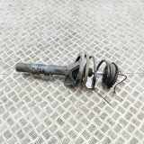 Stoßdämpfer vorne rechts PORSCHE 911 (997) 3.6 Carrera 4 99734304402