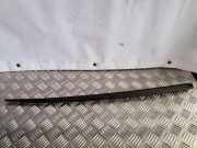 Zierleiste Windschutzscheibe Frontscheibe