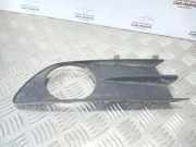 Gitter vorne unten RENAULT LAGUNA I Grandtour (K56_) 1.9 dTi (K56J) 000009745