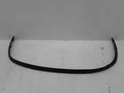 Front Bumper Center Moulding RENAULT SCÉNIC III (JZ0/1_) 1.9 dCi (JM14) 960150002R
