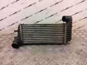 Ladeluftkühler Ford Transit Connect V408 Kasten () BV619L440CJ